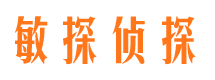 北屯镇市调查公司